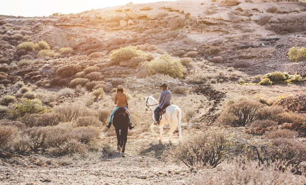 Horseback Riding