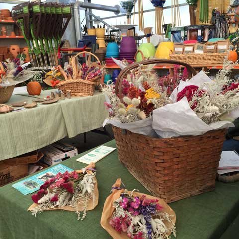 Belfast Maine Farmers Market