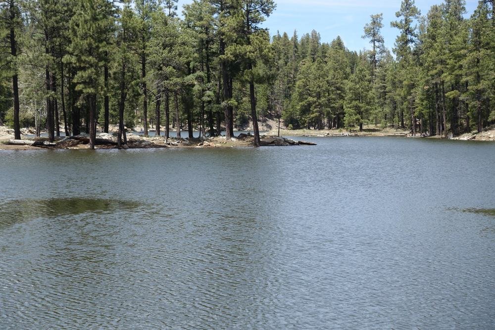 Mogollon Rim