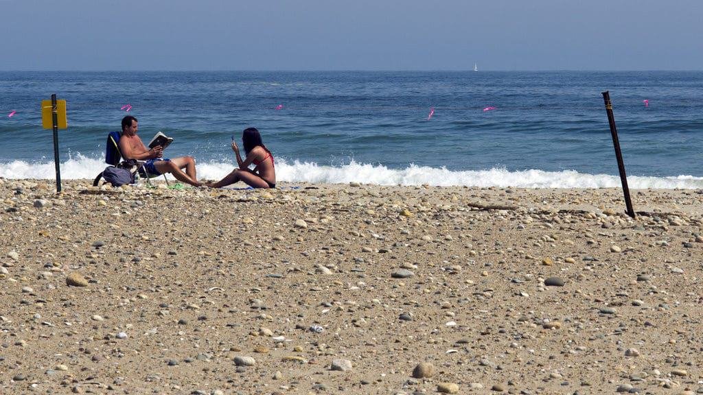 Goosewing Beach, Little Compton