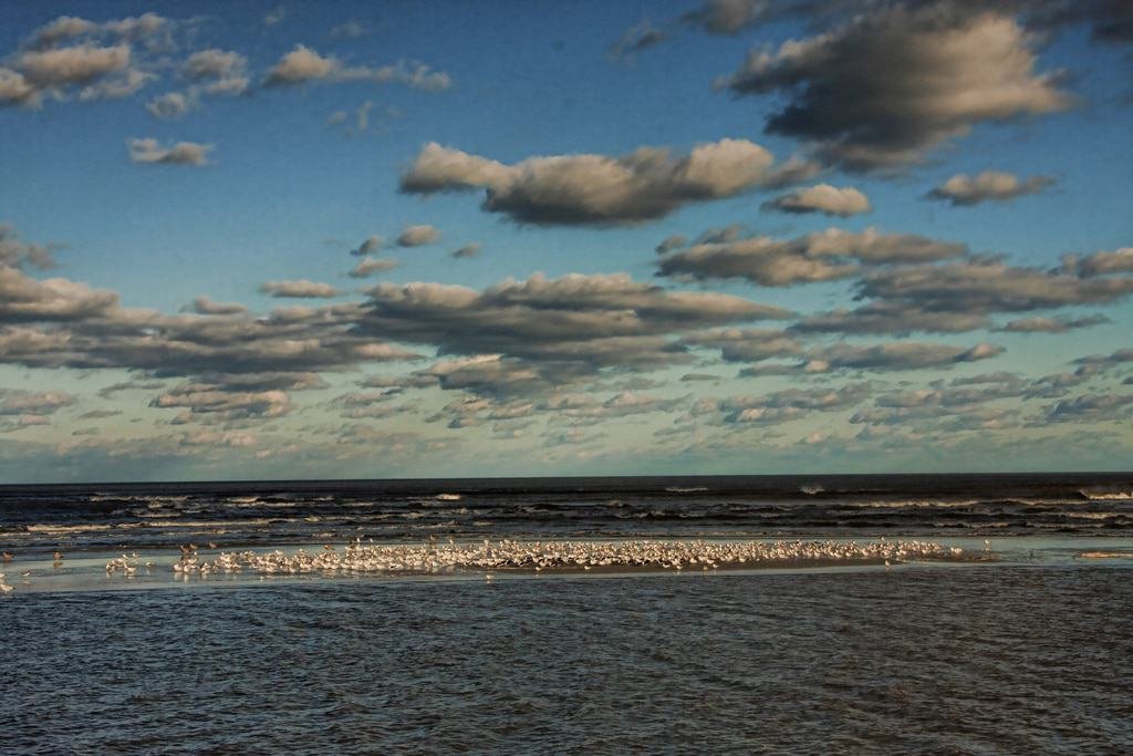 Gould’s Inlet