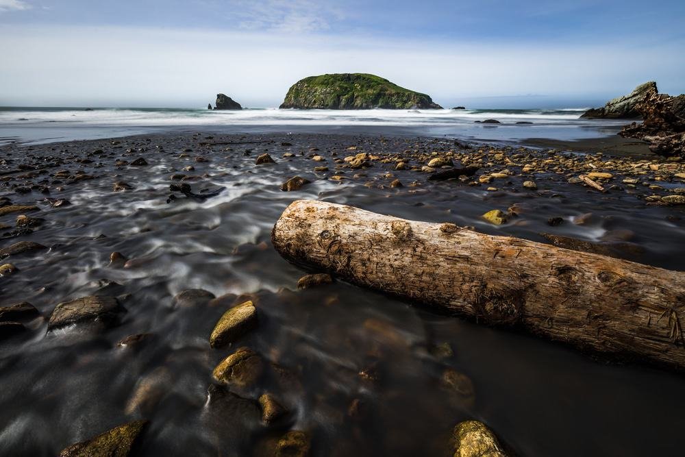 Harris Beach State Park