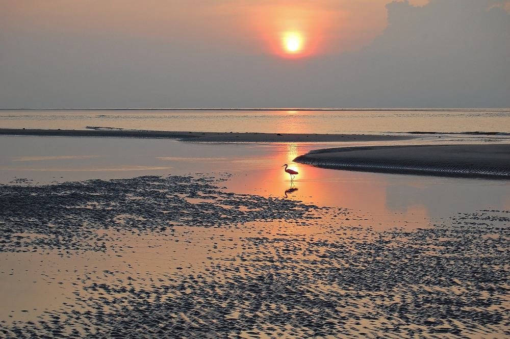 Hunting Island State Park