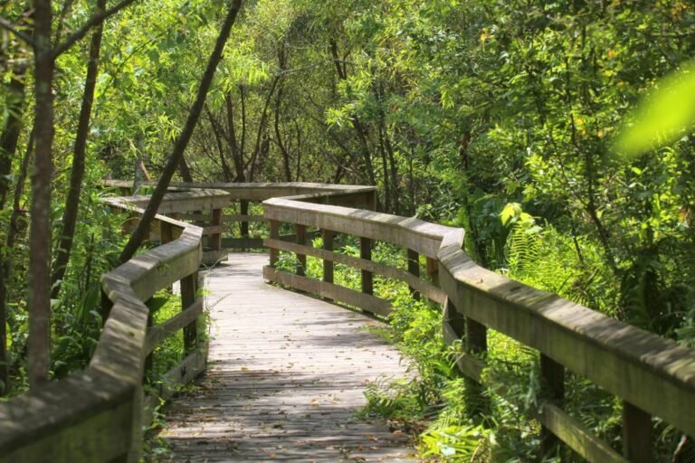 Mead Botanical Garden