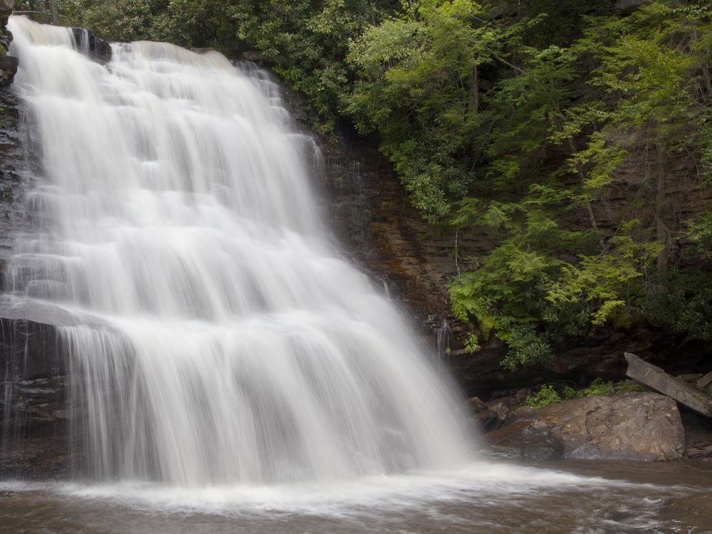 Muddy Creek Falls, Oakland