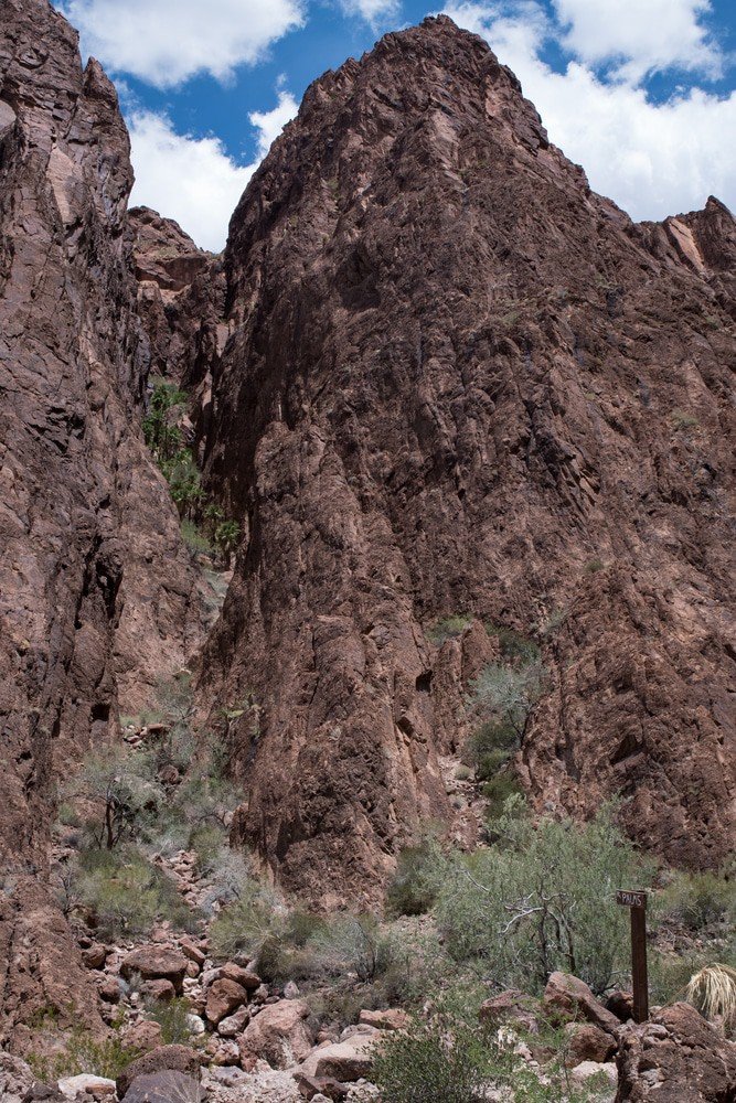 Palm Canyon