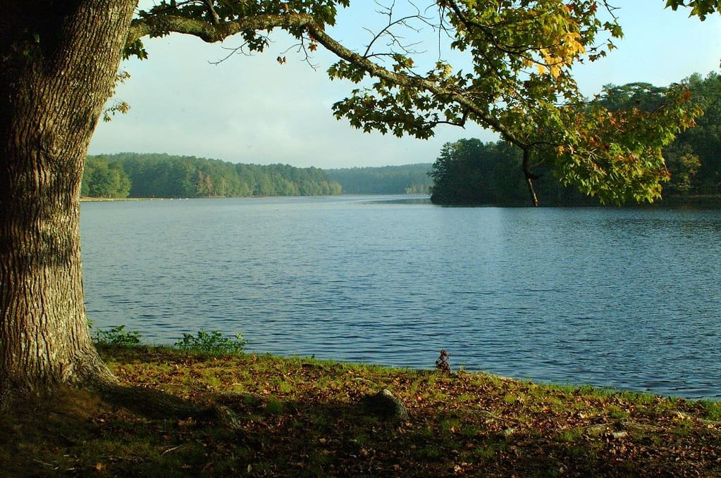 Payne Lake