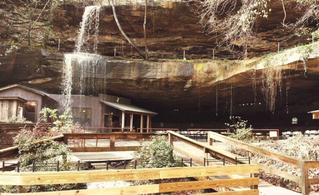 Rattlesnake Saloon, Tuscumbria