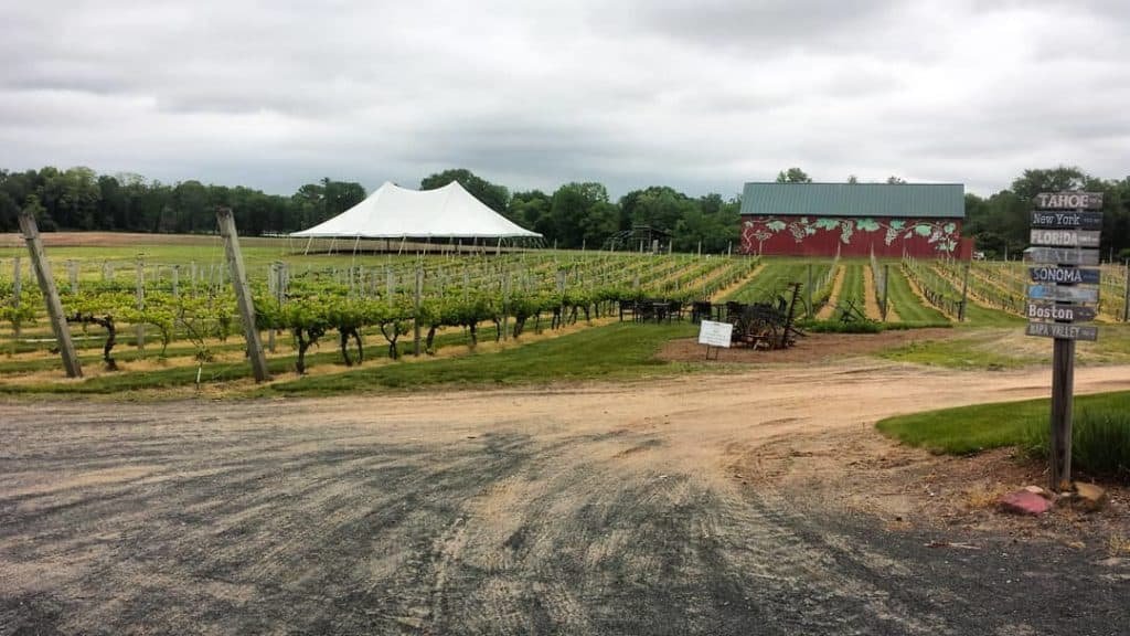 Rosedale Farms & Vineyards