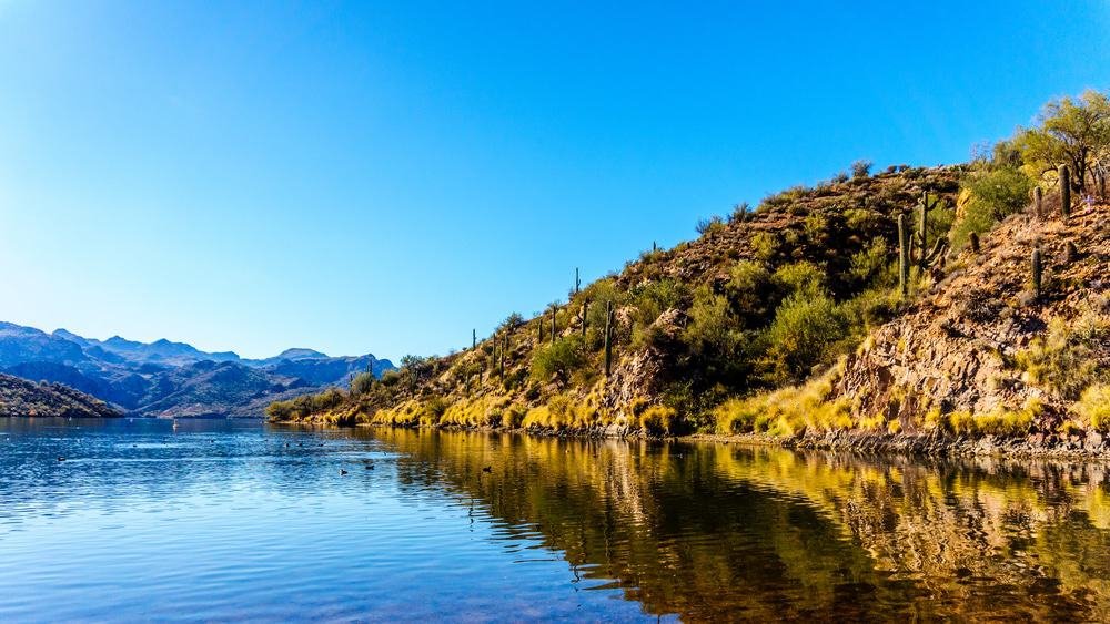 Saguaro Lake