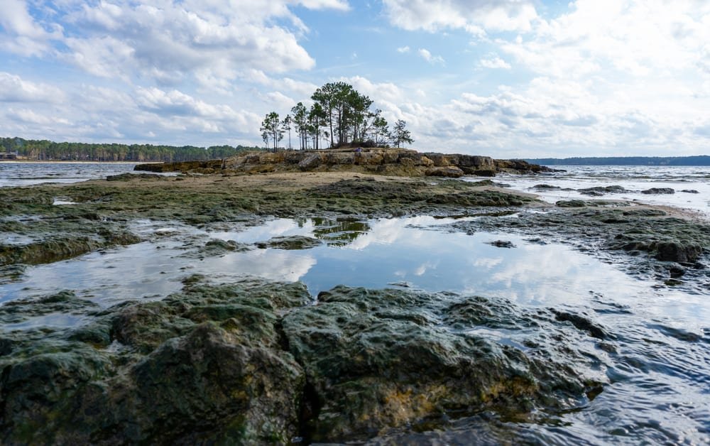 Sam Rayburn Reservoir
