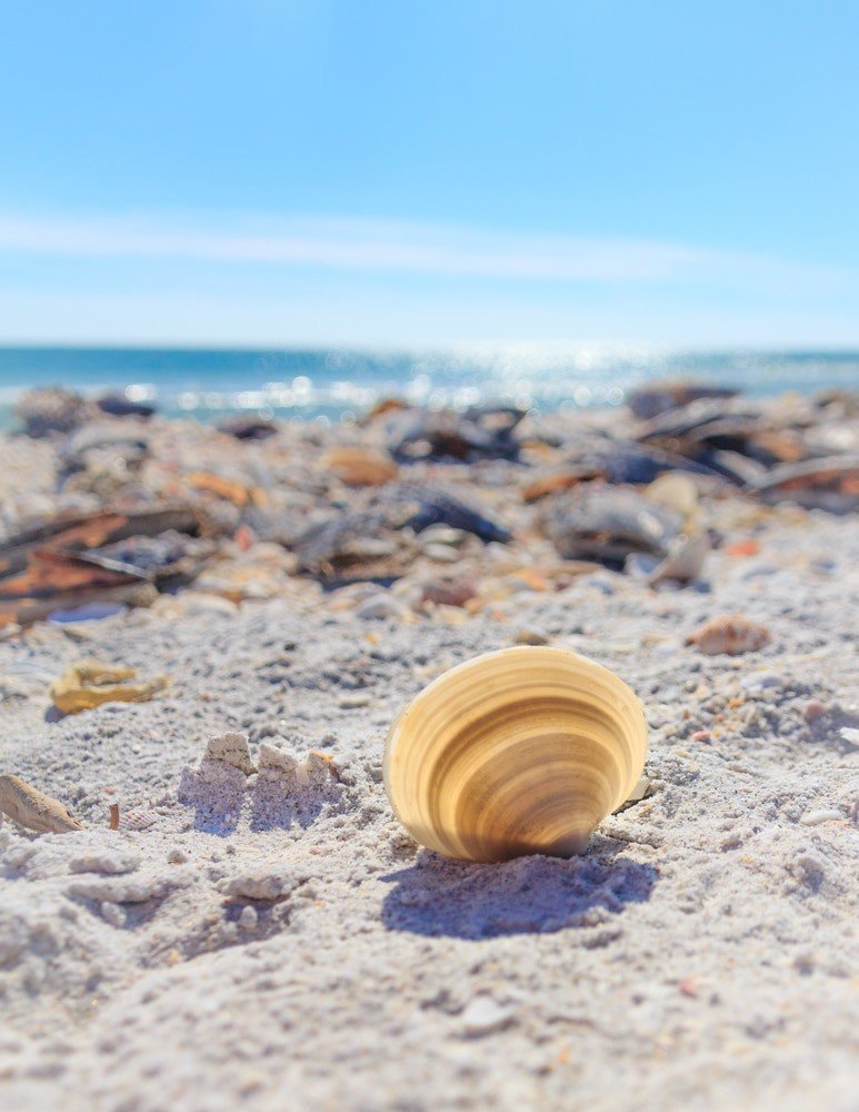 Sanibel Island