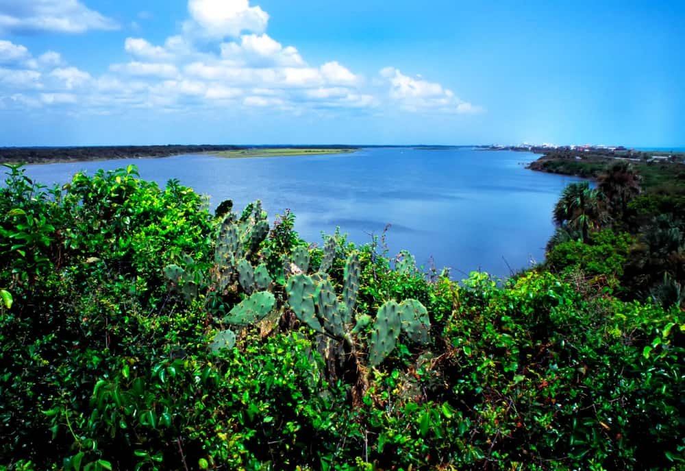 View from Turtle Mound