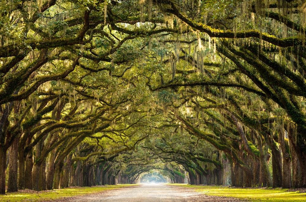 Wormsloe Historic Site