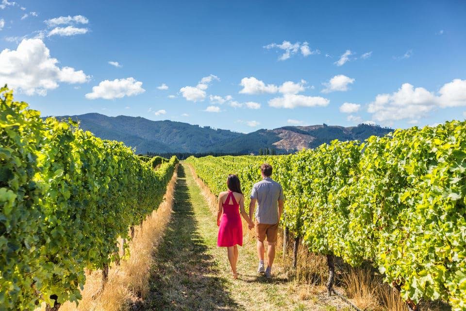 2-Day Muir Woods & Wine Tasting Tour
