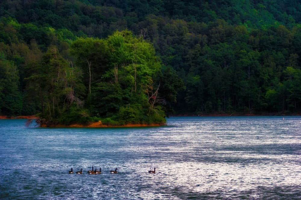 Boone Lake