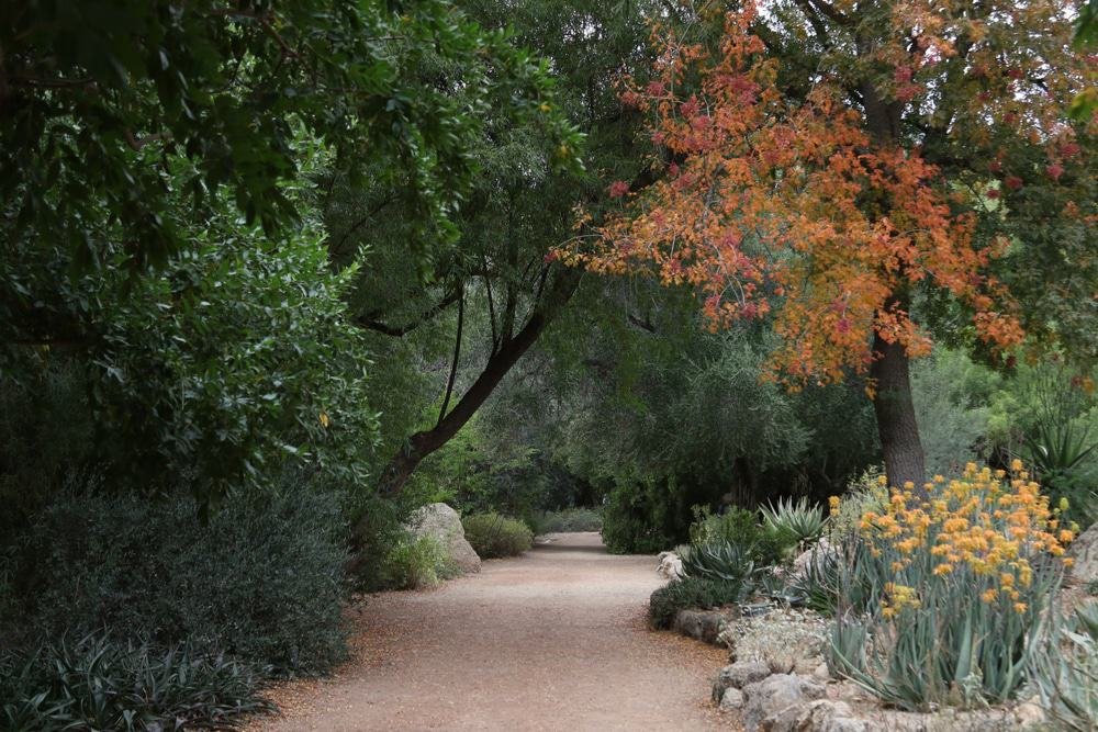 Boyce Thompson Arboretum
