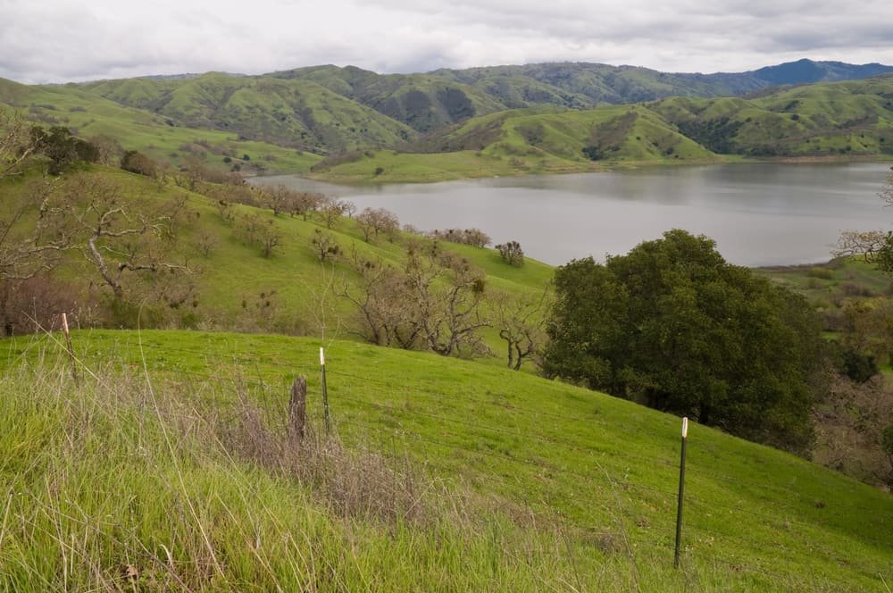Calaveras Reservoir