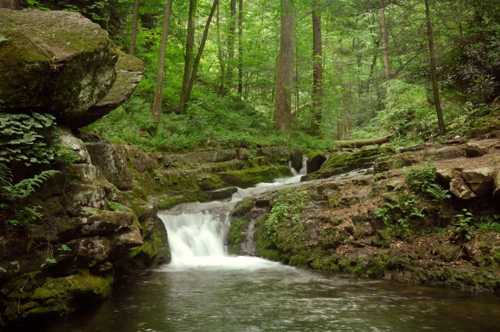 Dunnfield Creek