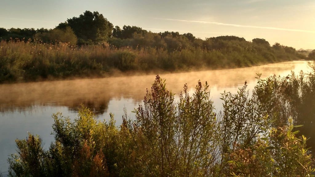 East Wetlands Environmental Restoration Area