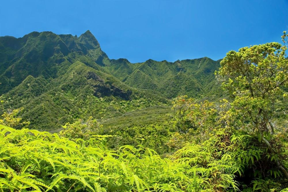 Iao Valley State Monument