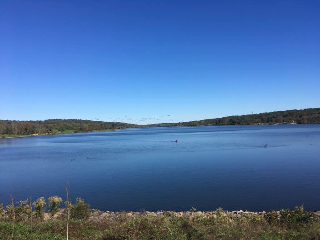 Lake Galena