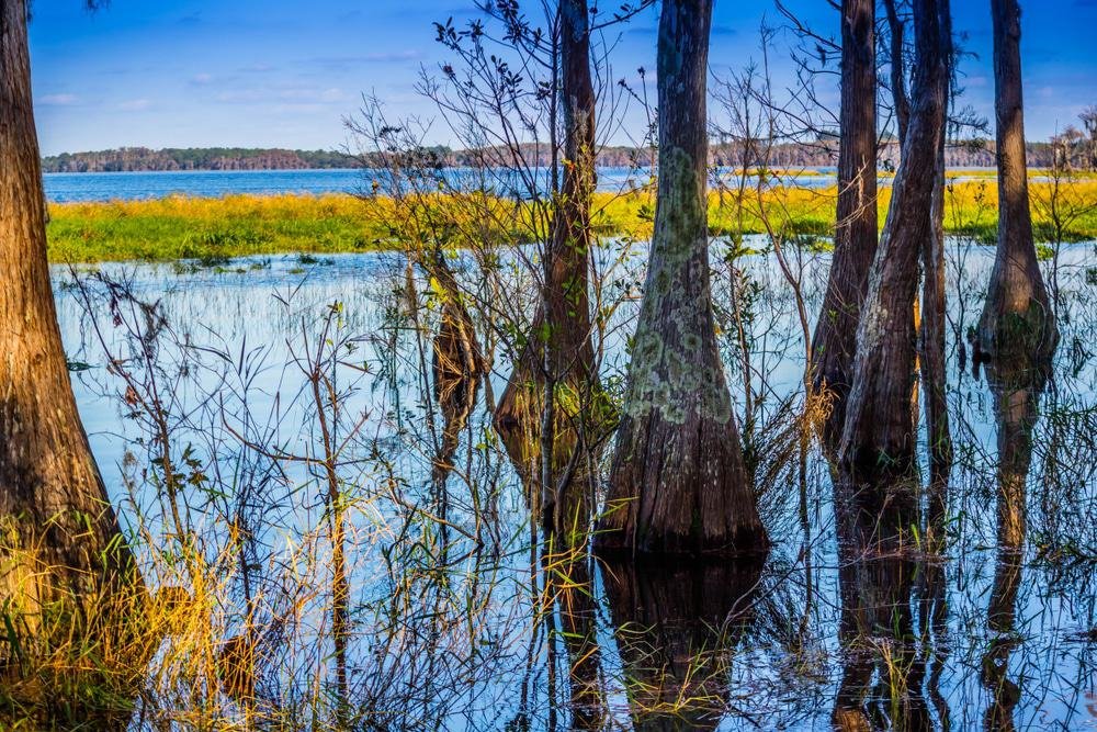 Lake Louisa State Park