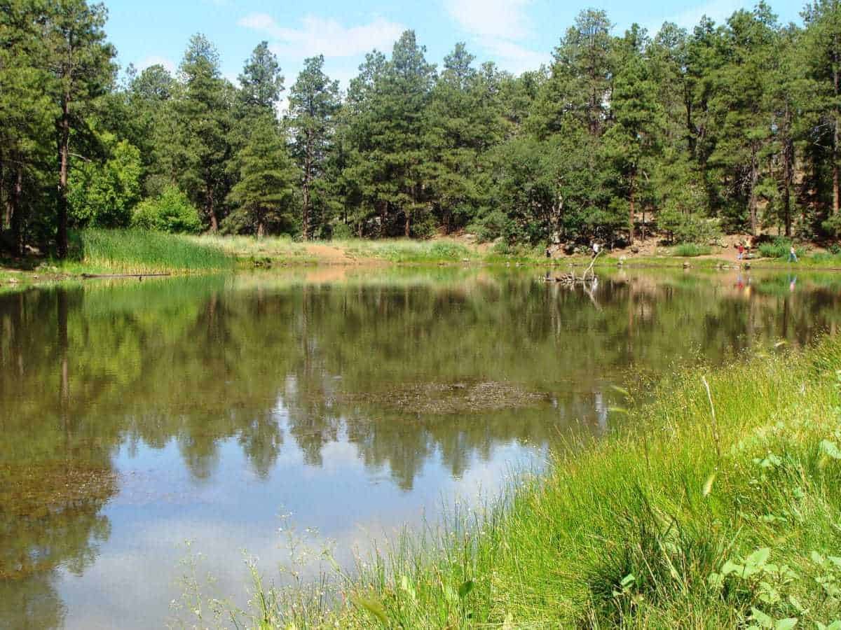 Mingus Lake
