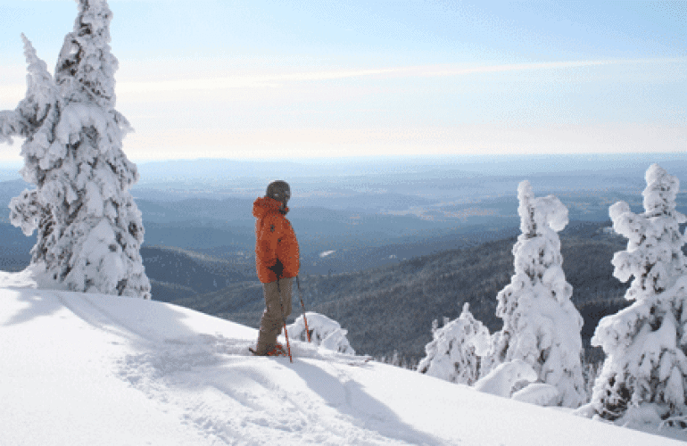 Mount Spokane Ski & Snowboard Park