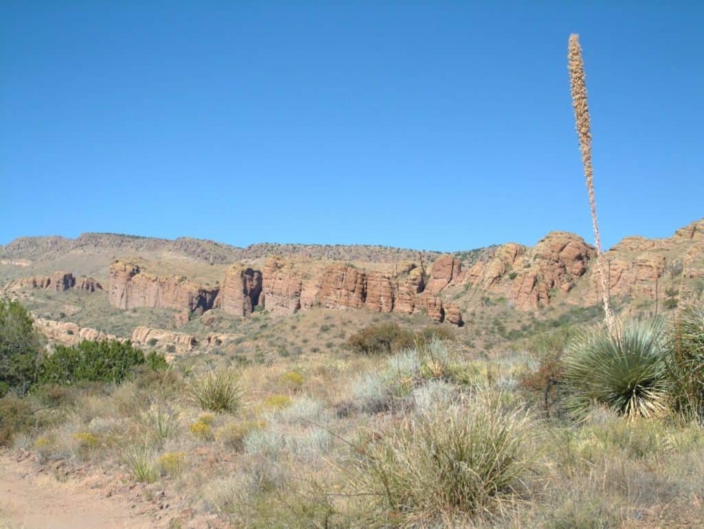 Muleshoe Ranch Cooperative Management