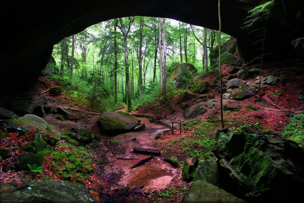 Alabama's Natural Bridge