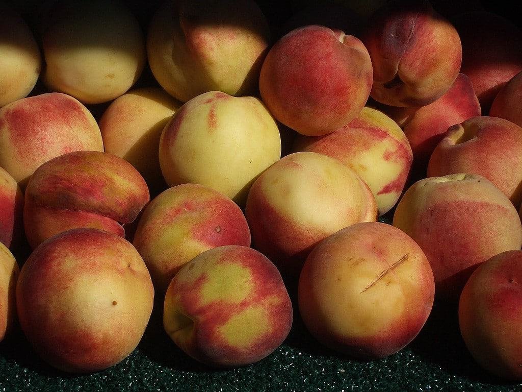 Pomona Farmers Market