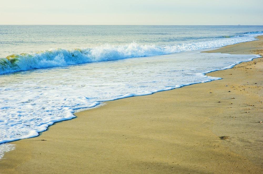 Sandy Hook Beach