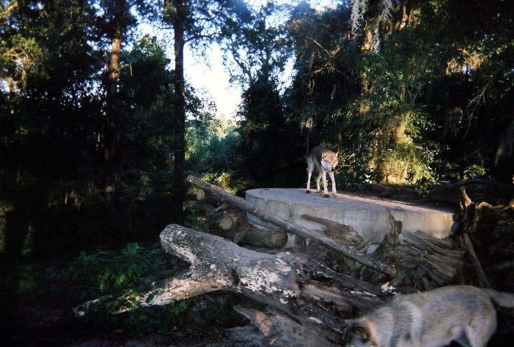 Seacrest Wolf Preserve