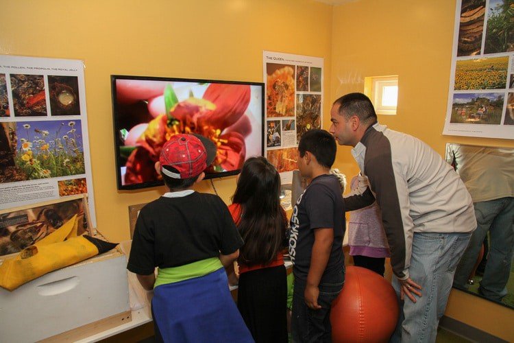 The Children’s Museum of Sonoma County