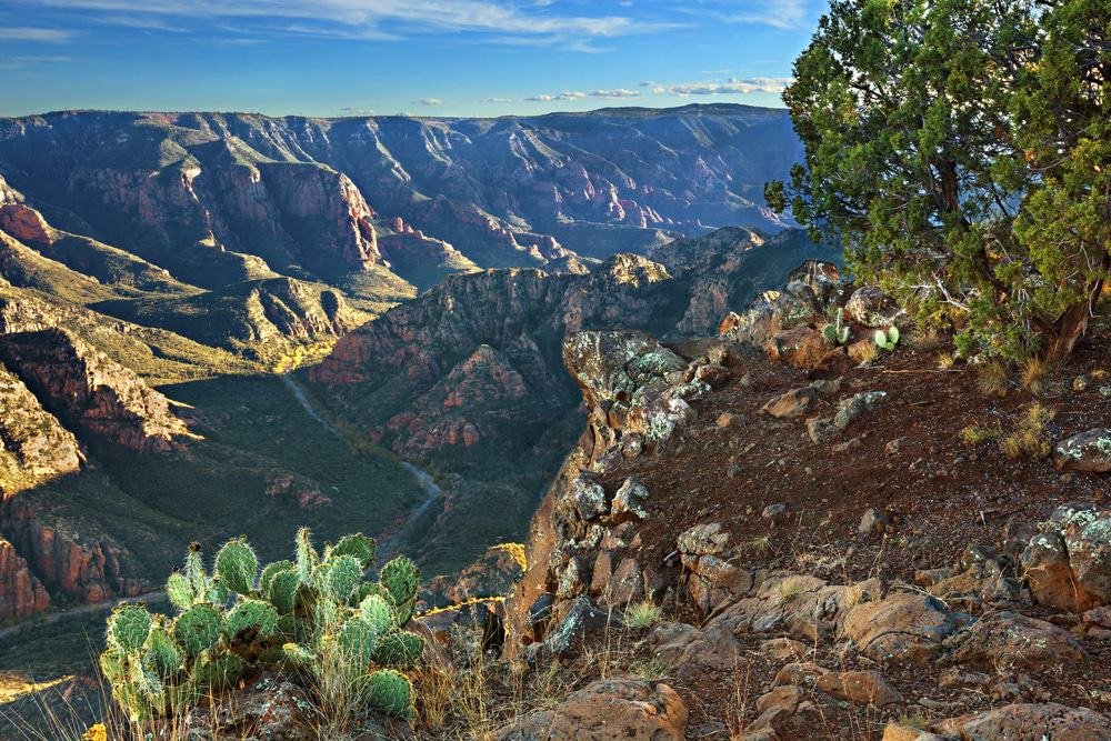 Sycamore Canyon Wilderness