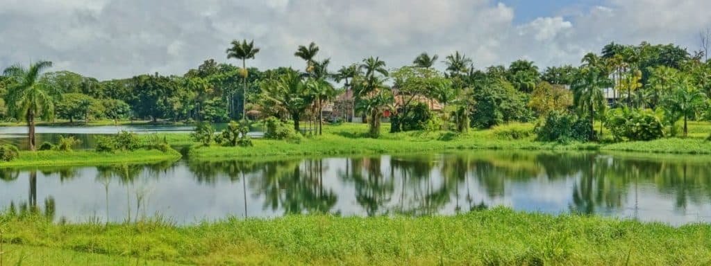 Waiākea Pond; Hawaii