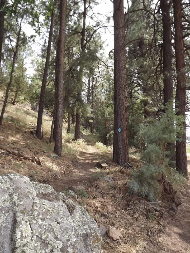 Show Low Bluff Trail