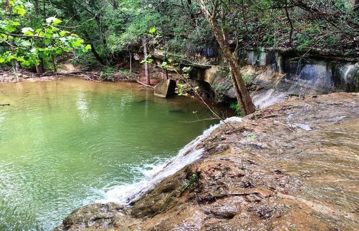 Wild Basin Wilderness Preserve