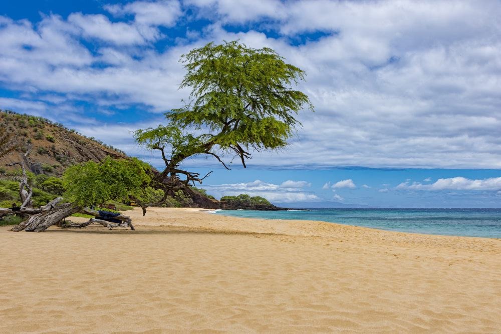 Wailea - Maui 
